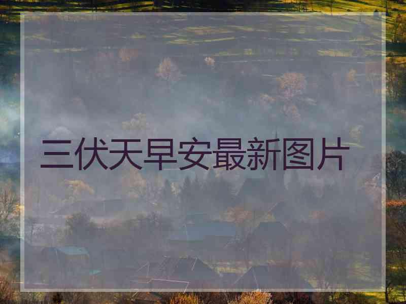 三伏天早安最新图片
