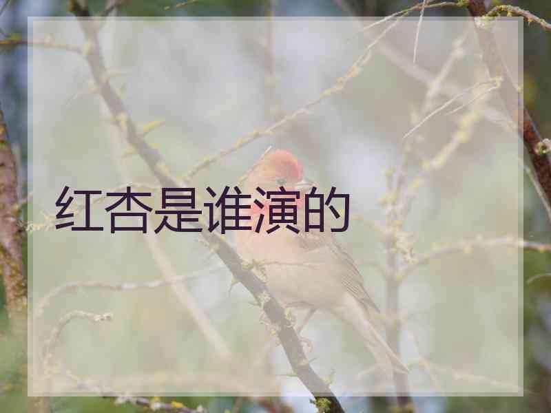 红杏是谁演的