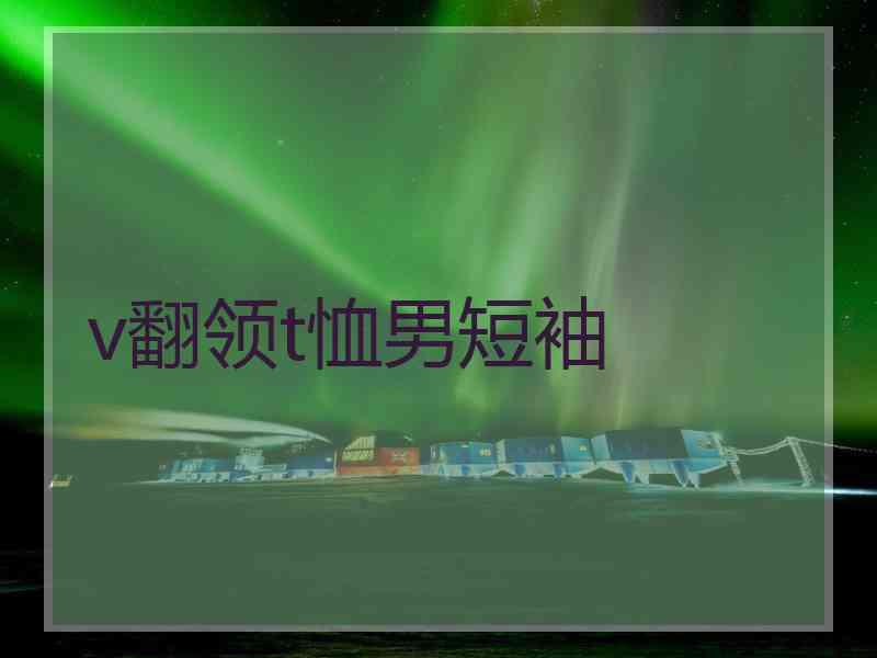 v翻领t恤男短袖