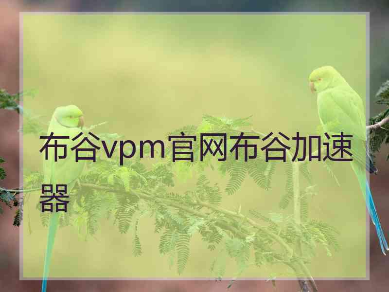 布谷vpm官网布谷加速器