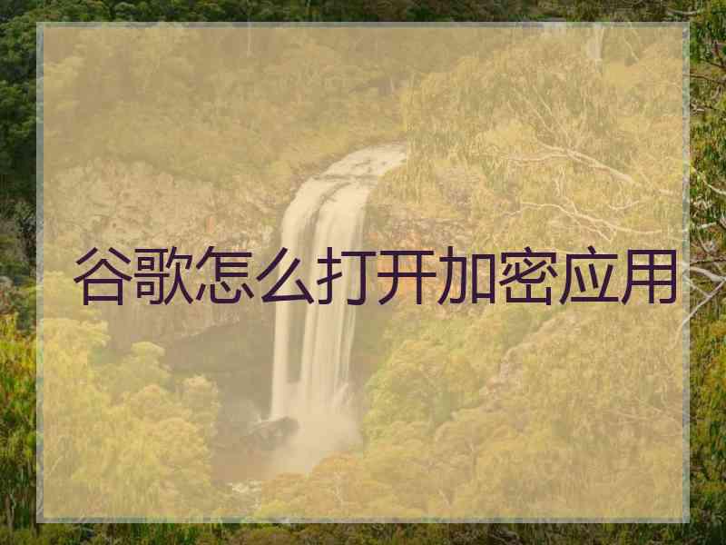 谷歌怎么打开加密应用