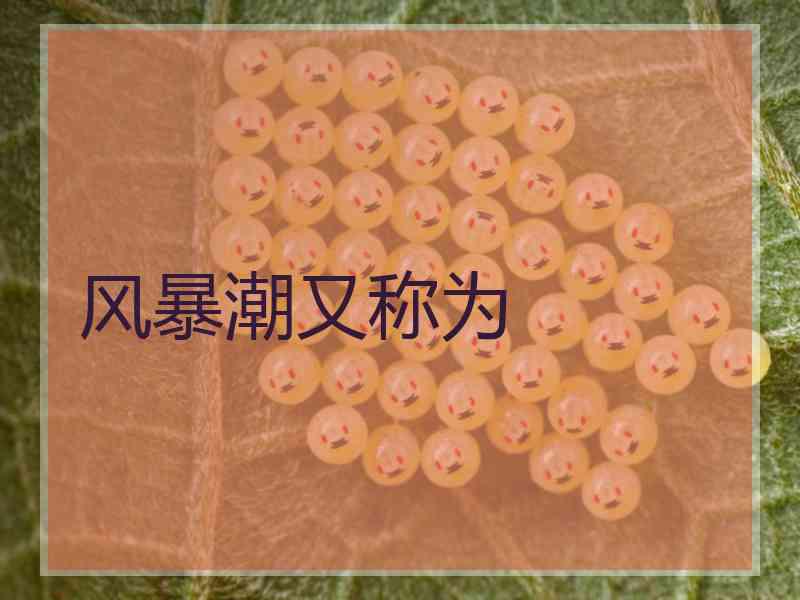 风暴潮又称为