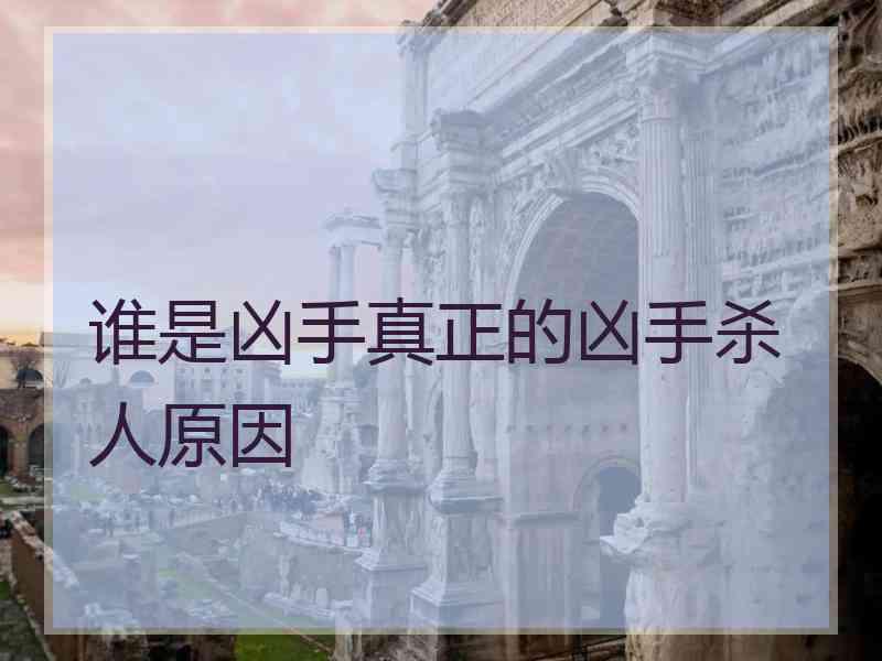 谁是凶手真正的凶手杀人原因