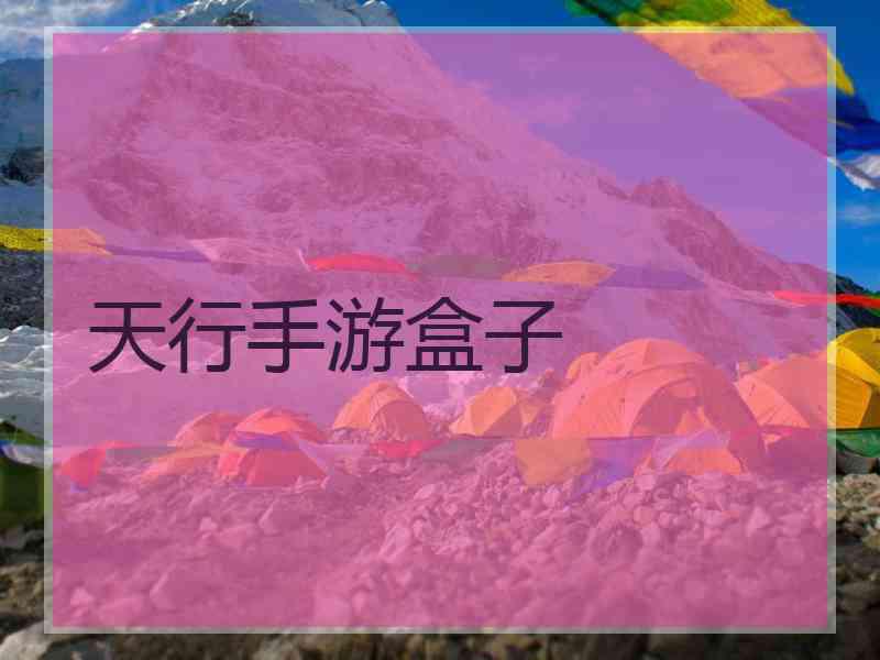 天行手游盒子