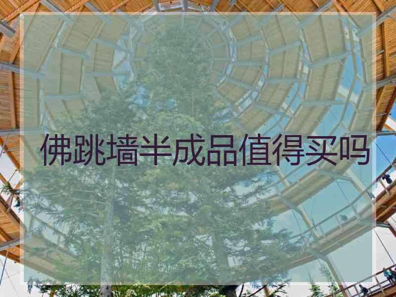 佛跳墙半成品值得买吗