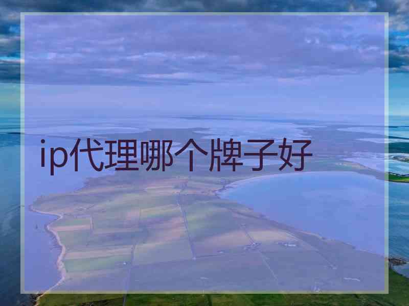 ip代理哪个牌子好