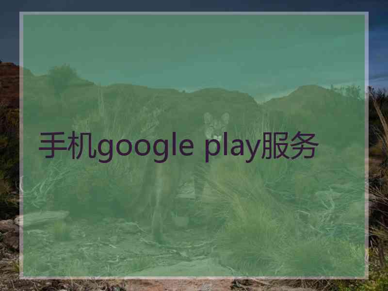 手机google play服务