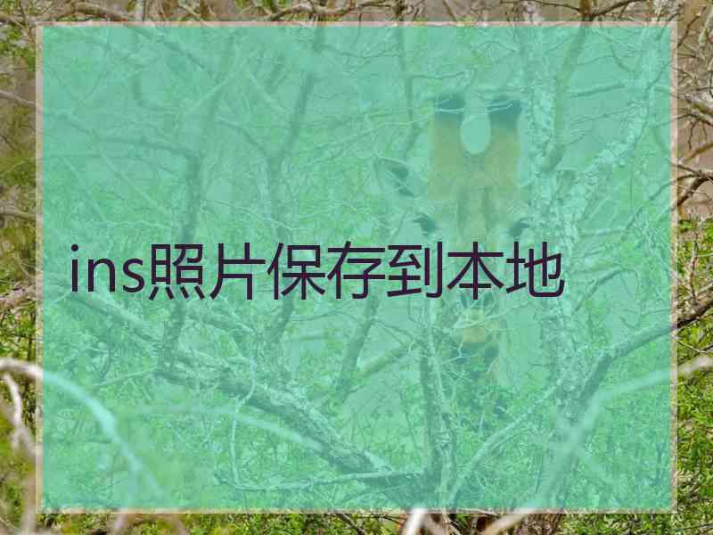 ins照片保存到本地