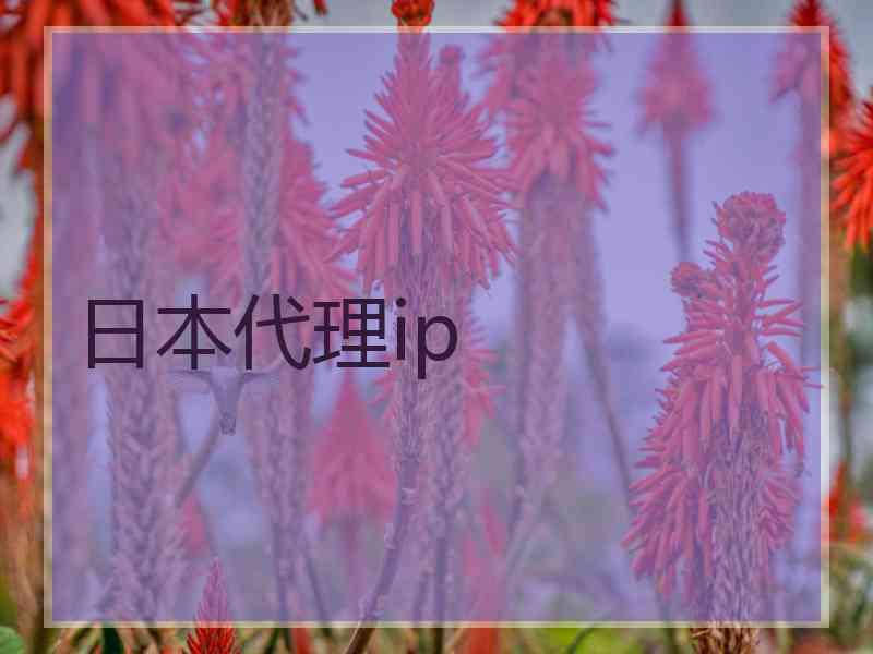 日本代理ip