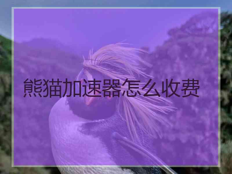 熊猫加速器怎么收费