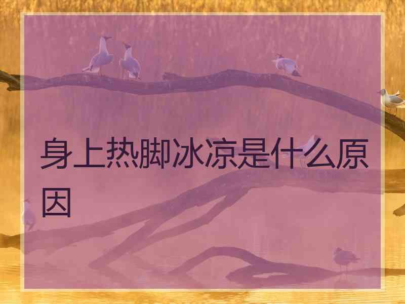 身上热脚冰凉是什么原因