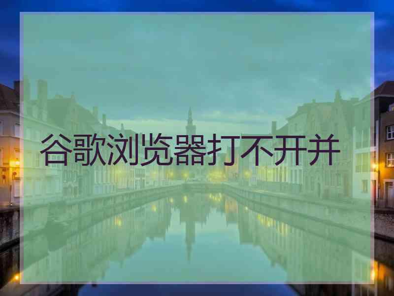 谷歌浏览器打不开并