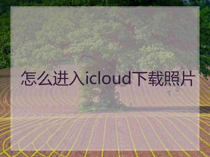 怎么进入icloud下载照片