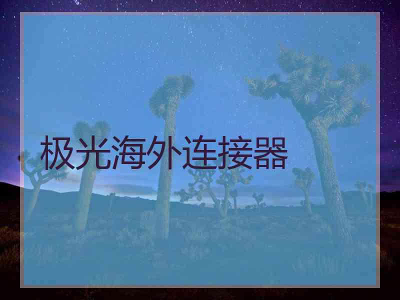 极光海外连接器