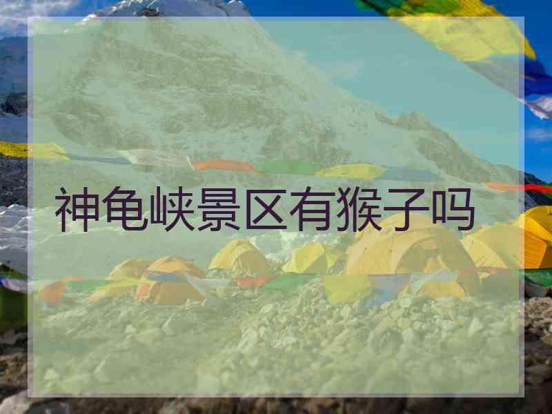 神龟峡景区有猴子吗