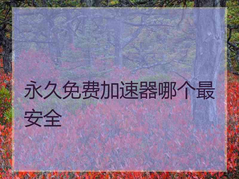 永久免费加速器哪个最安全
