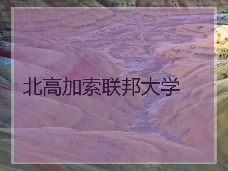 北高加索联邦大学