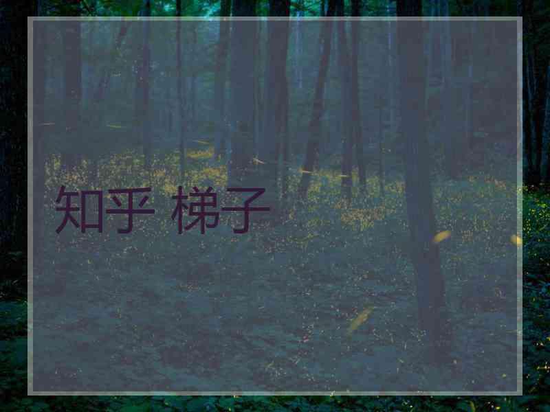 知乎 梯子