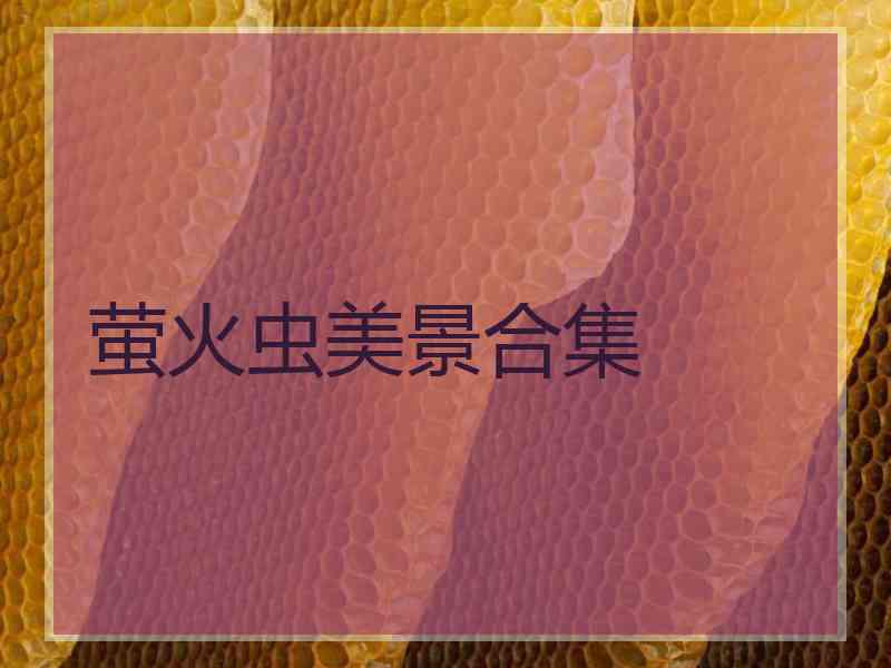 萤火虫美景合集