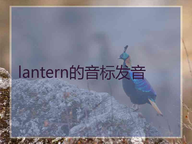 lantern的音标发音