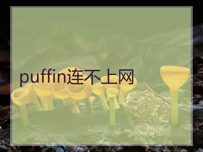 puffin连不上网