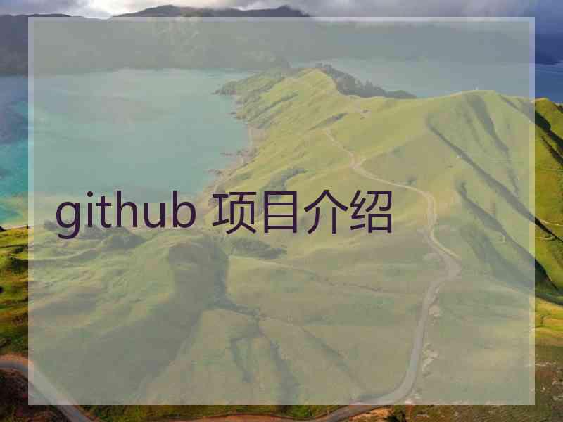 github 项目介绍