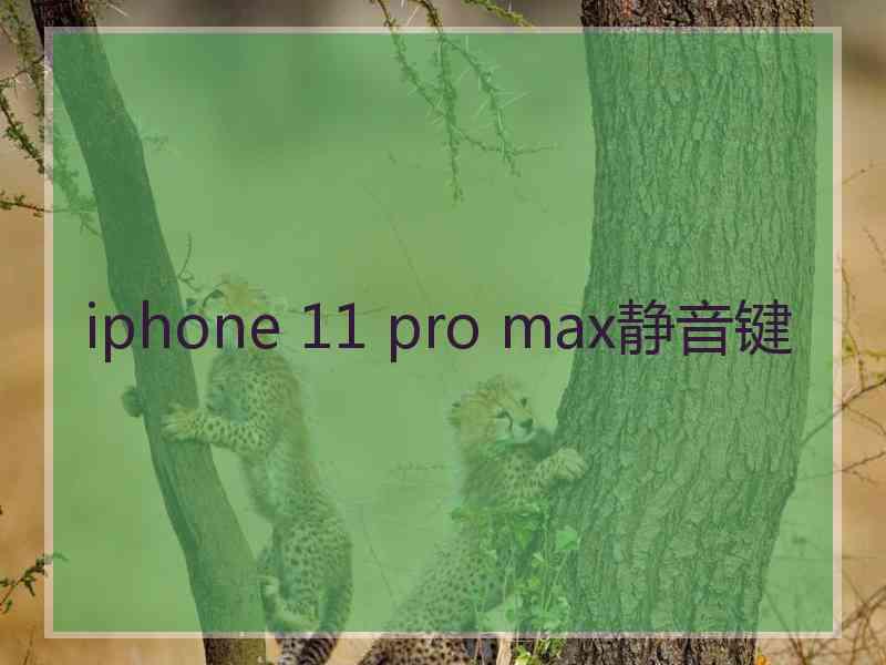 iphone 11 pro max静音键