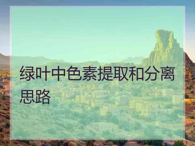 绿叶中色素提取和分离思路