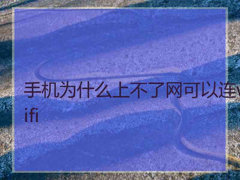 手机为什么上不了网可以连wifi