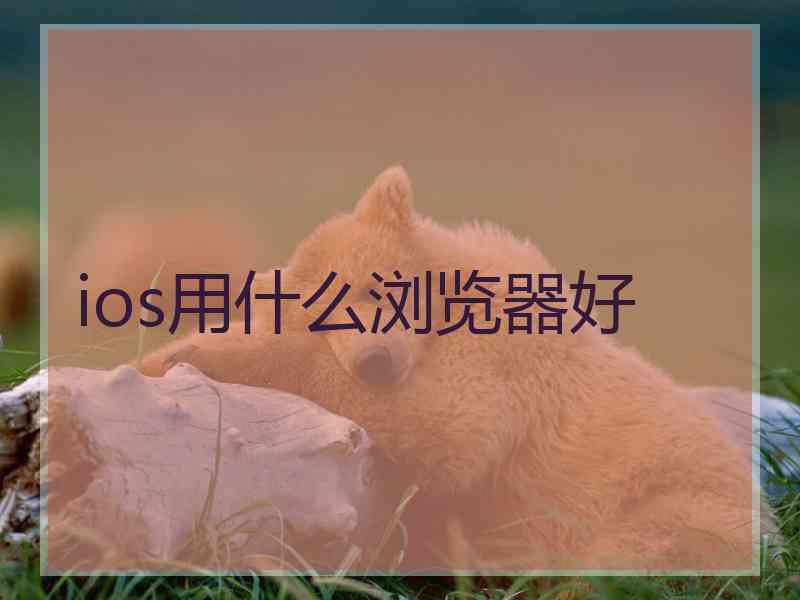 ios用什么浏览器好