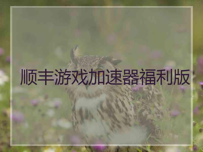 顺丰游戏加速器福利版