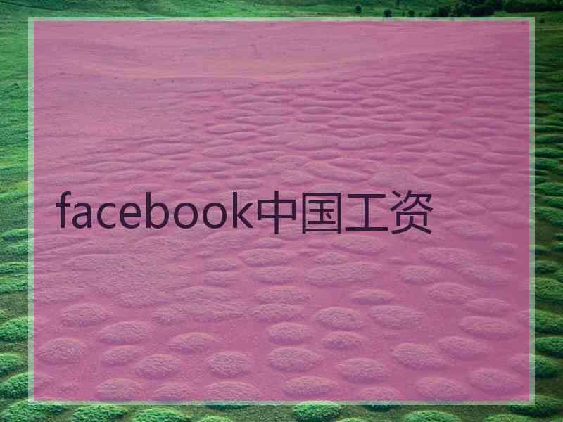 facebook中国工资