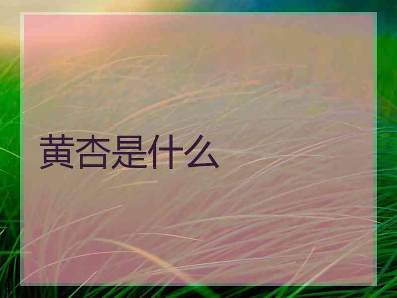 黄杏是什么