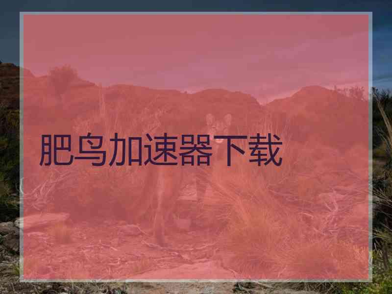 肥鸟加速器下载