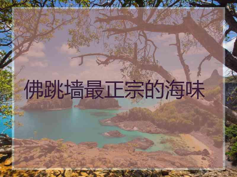 佛跳墙最正宗的海味