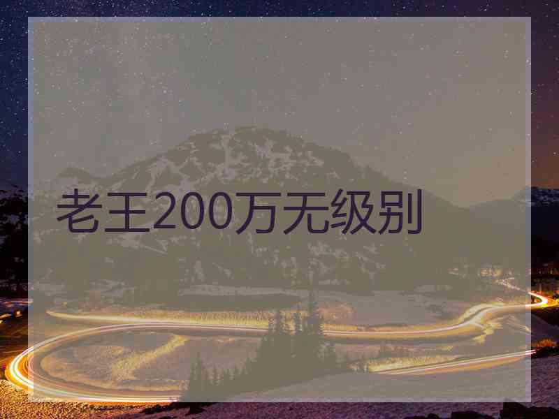 老王200万无级别