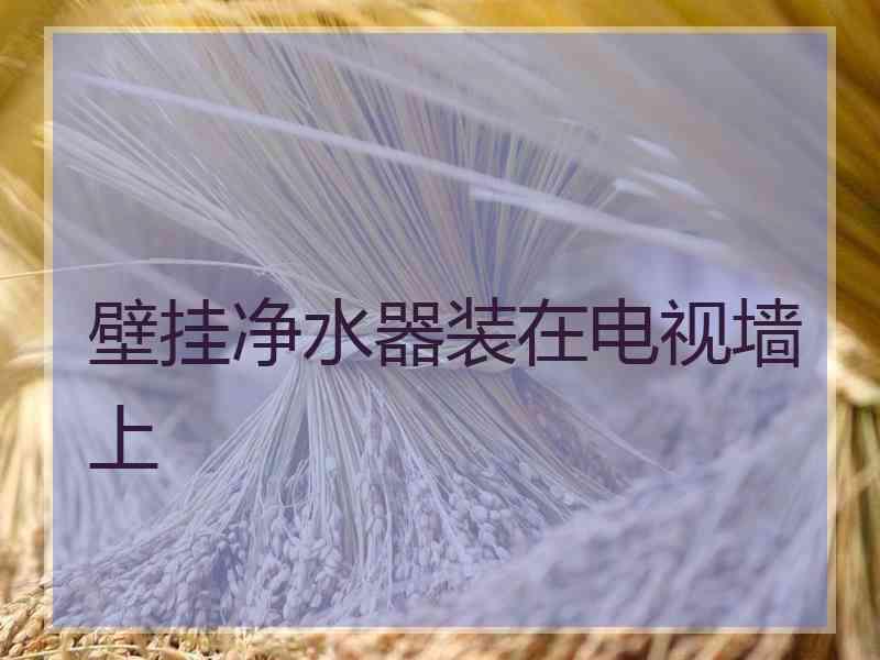 壁挂净水器装在电视墙上
