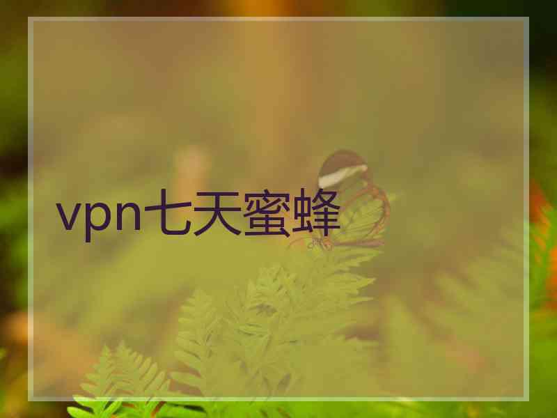 vpn七天蜜蜂