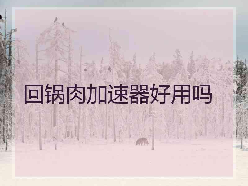 回锅肉加速器好用吗
