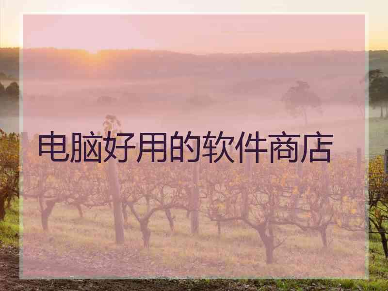 电脑好用的软件商店