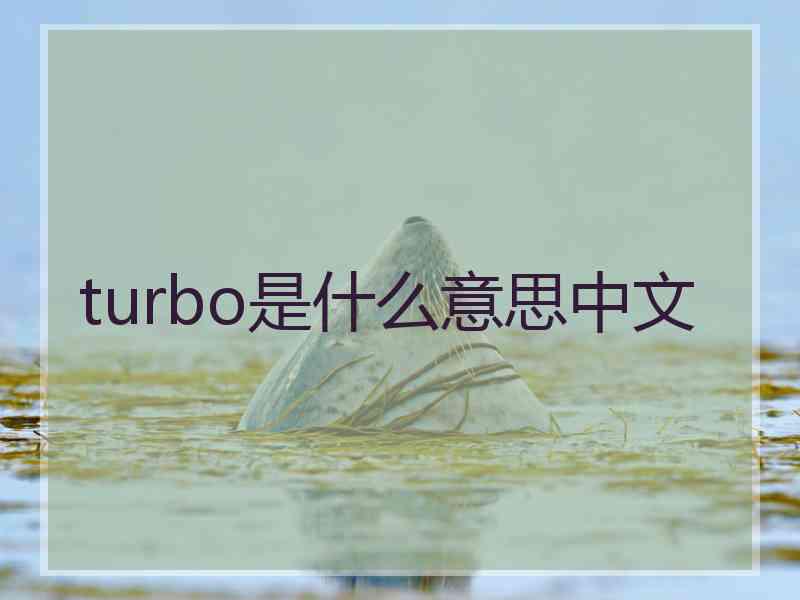 turbo是什么意思中文