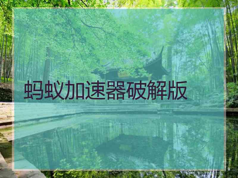 蚂蚁加速器破解版
