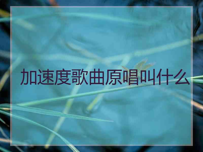 加速度歌曲原唱叫什么