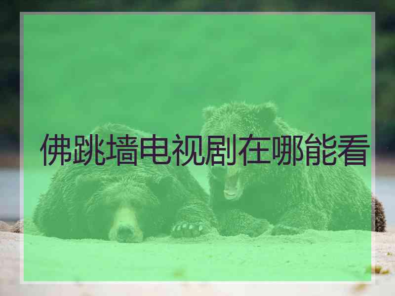 佛跳墙电视剧在哪能看