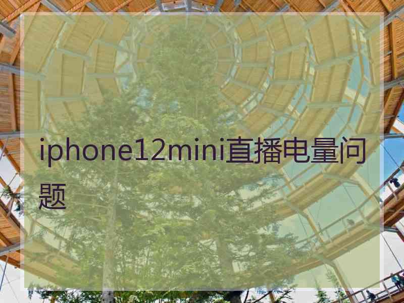 iphone12mini直播电量问题