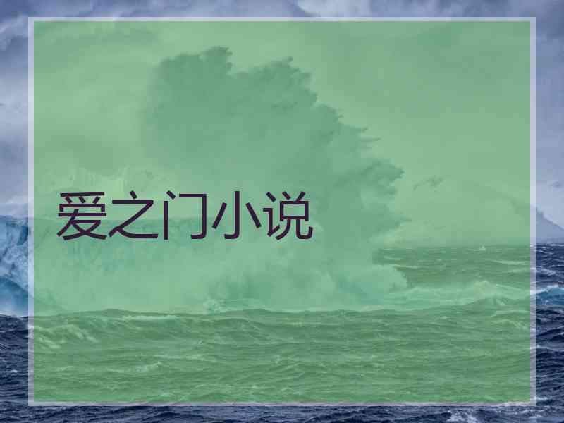 爱之门小说