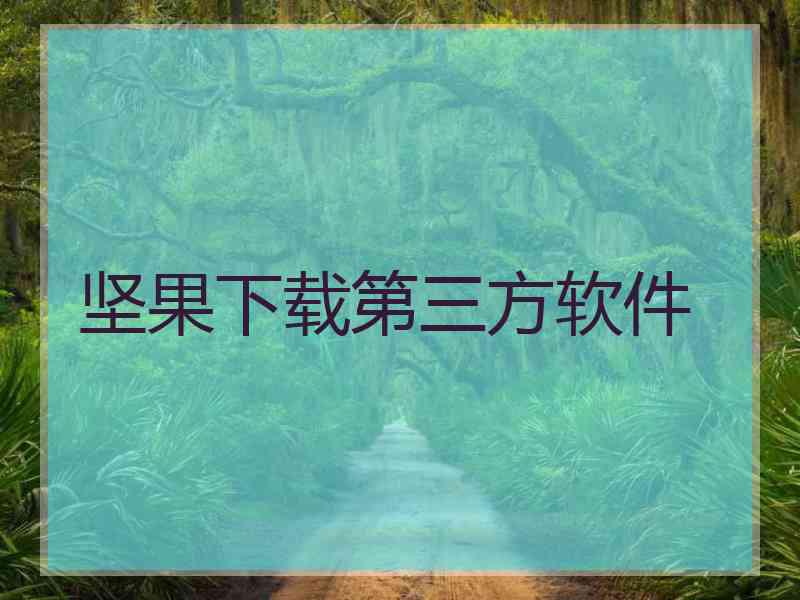 坚果下载第三方软件