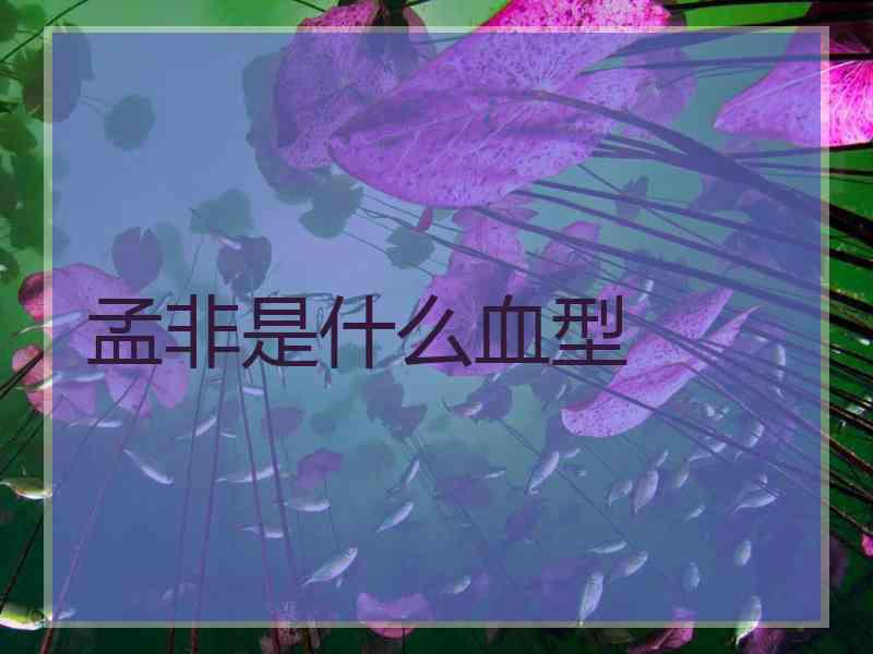 孟非是什么血型
