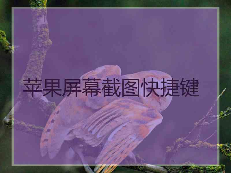 苹果屏幕截图快捷键