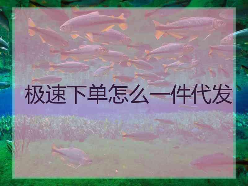 极速下单怎么一件代发